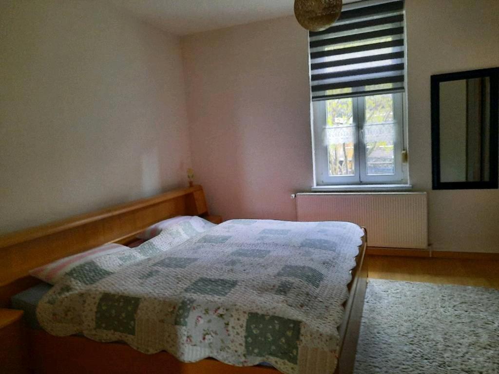 Ferienwohnung Emilia Gernrode  Екстер'єр фото